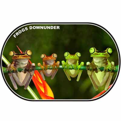 Frogs Downunder Placemat